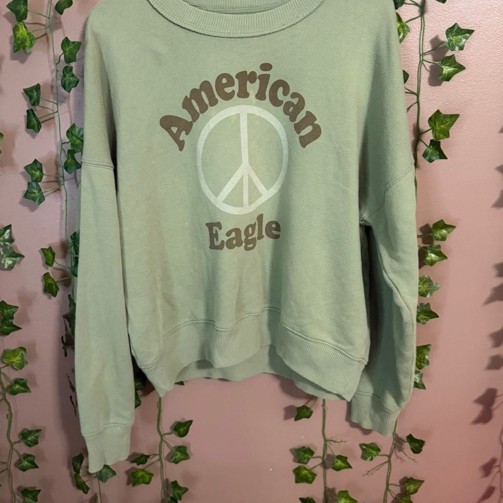 American Eagle Outfitters Green Crew Neck Sweater